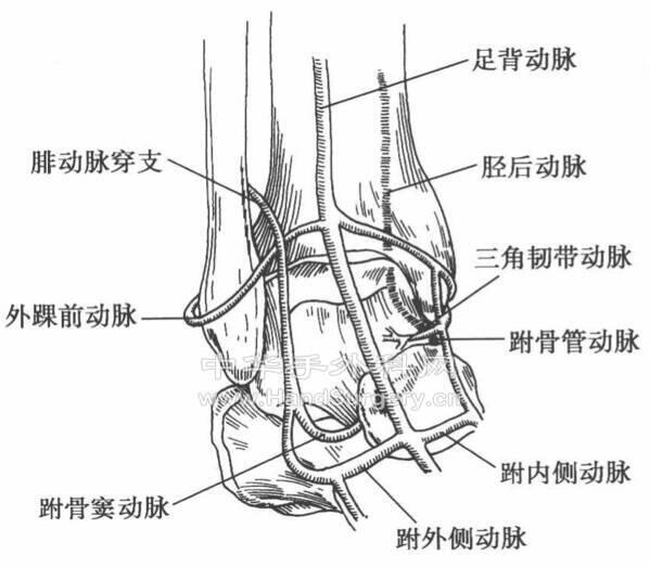 微信图片_20200512000241.png