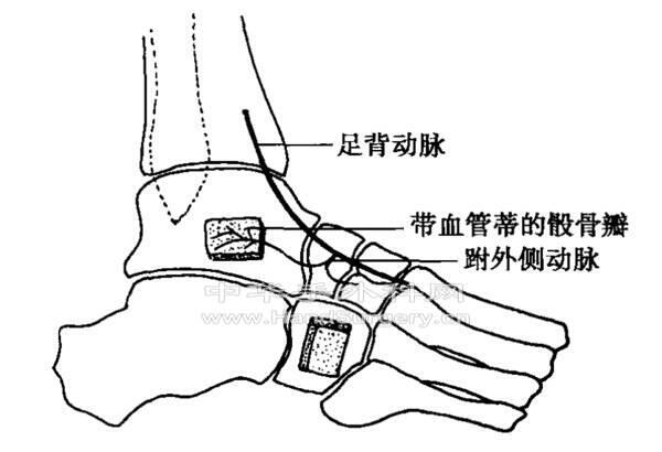 微信图片_20200512000228.png