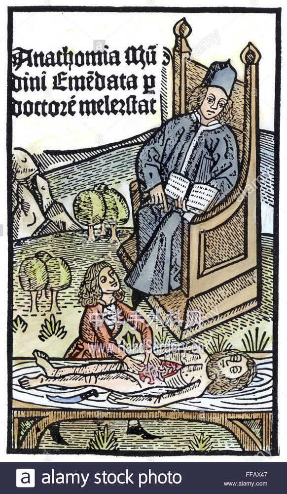 medical-teaching-1487-nthe-physician-in-the-chair-directs-the-dissection-FFAX47.jpg