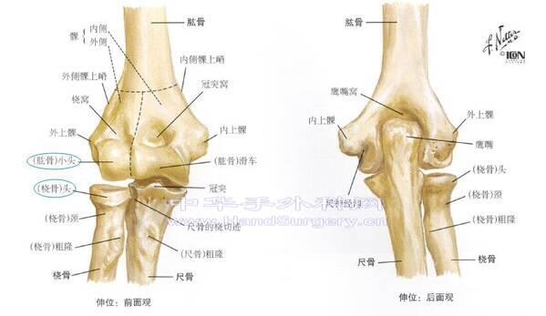 QQ截图20200727215113.jpg