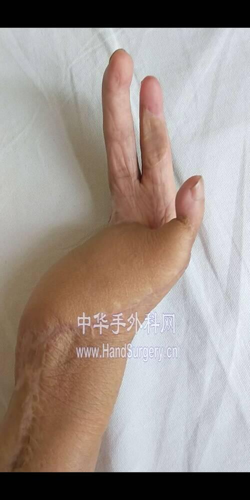 97a90a99e7806a9b99a9c31eca6494c.jpg