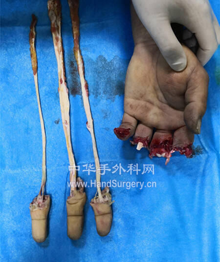 微信图片_20190503083511_副本.jpg