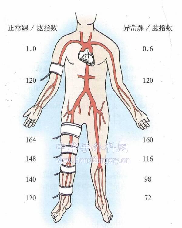 微信截图_20201010211015.png