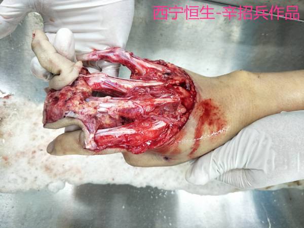 照片01