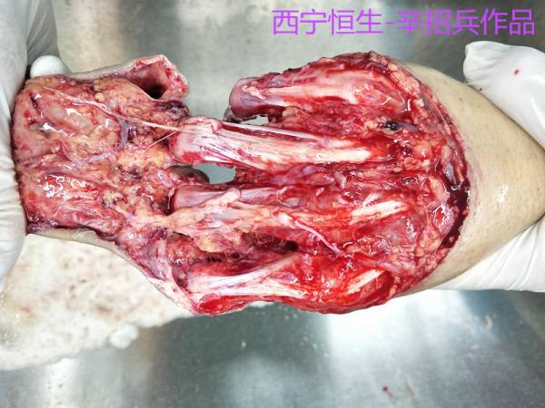 照片02