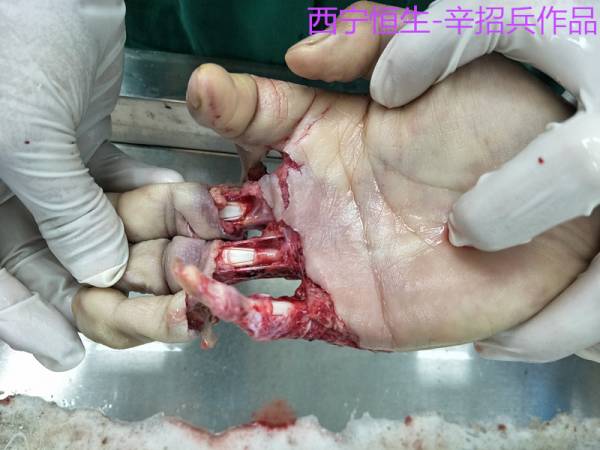 照片03