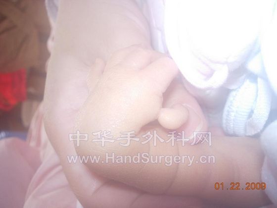 DSCN1254.JPG