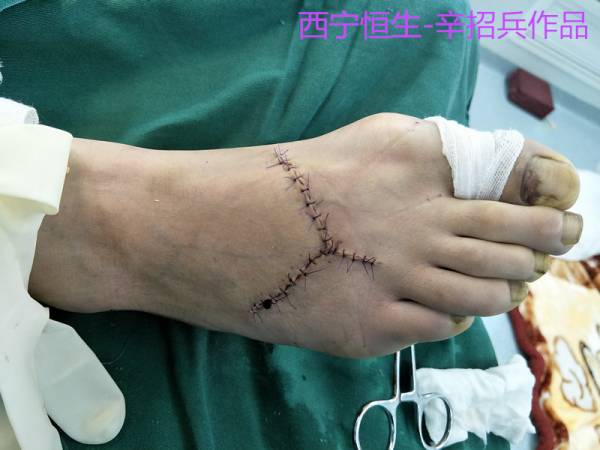 照片12