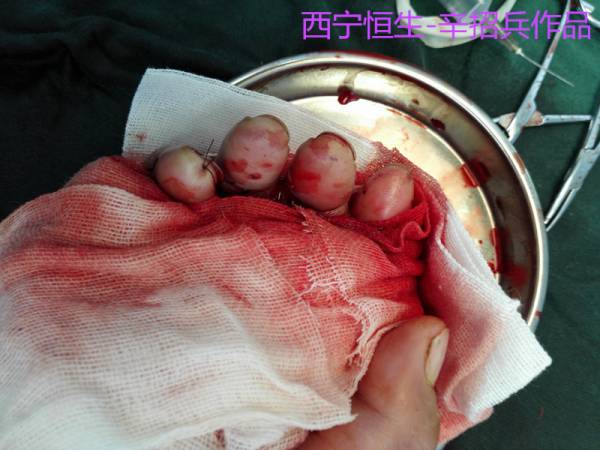 照片13