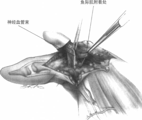 a07355.0026.3.jpg