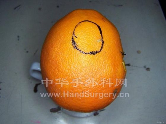 61072162.snap.jpg