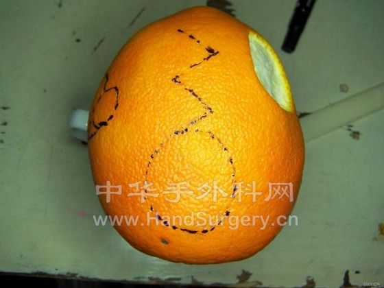 98239406.snap.jpg