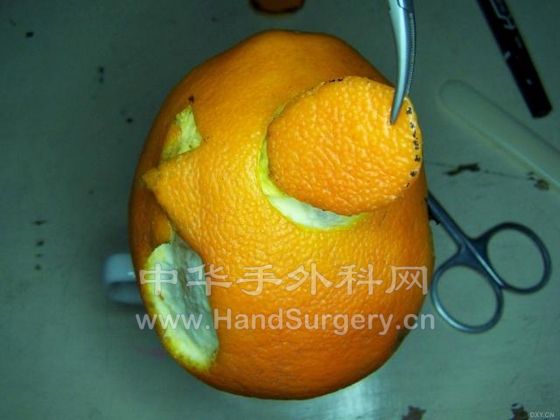 53067525.snap.jpg