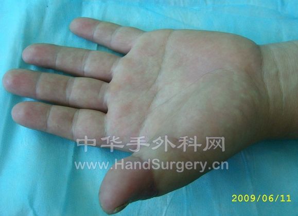 STP63093.JPG