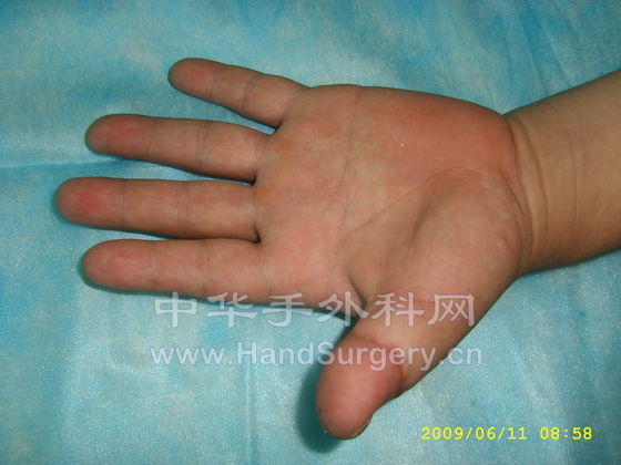 STP63096.JPG