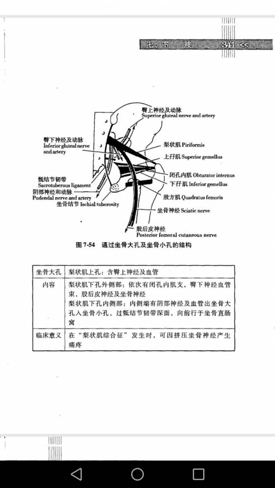 970562368.jpg