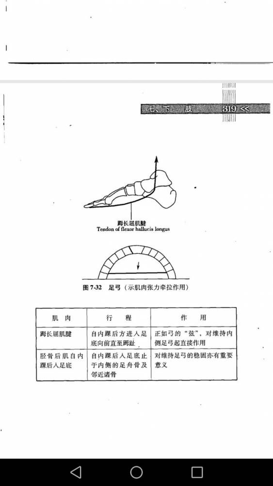 874677248.jpg