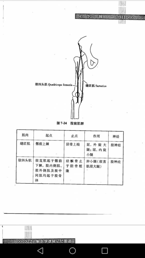 1119814792.jpg