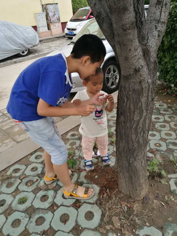 微信图片_20170627101504.jpg