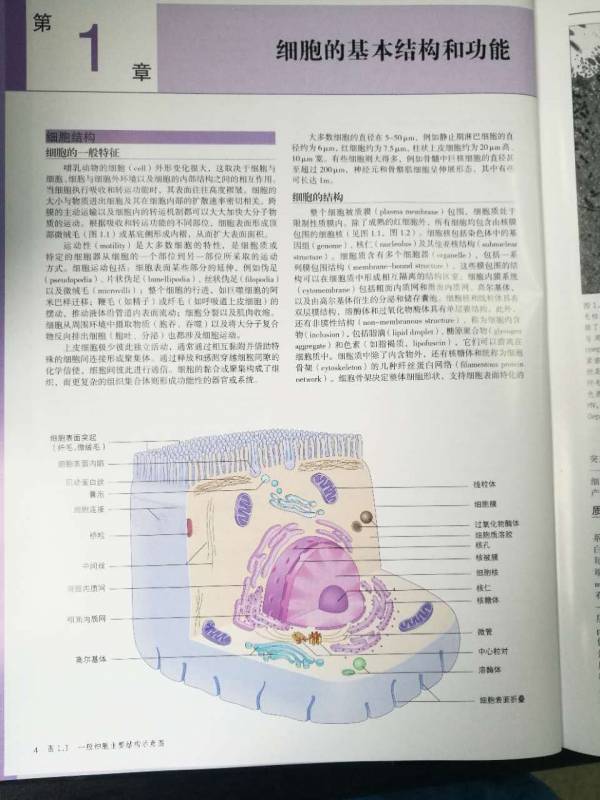 微信图片_20170812084158.jpg