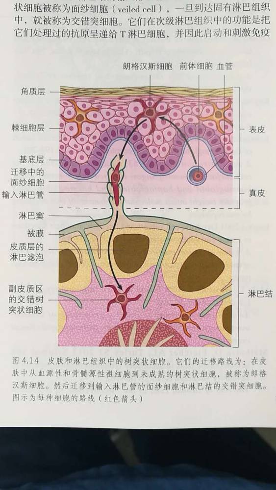 微信图片_20170812084204.jpg