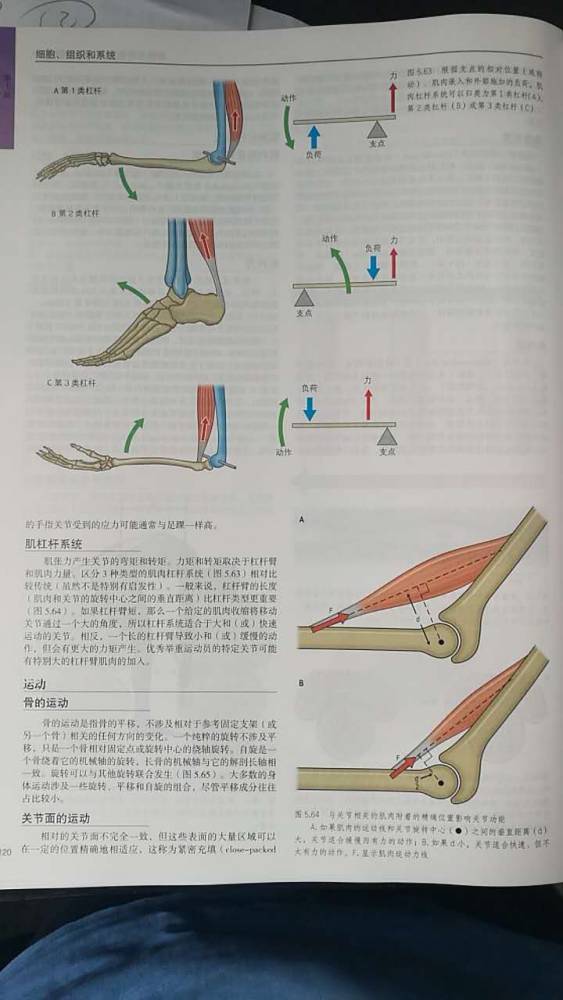 微信图片_20170812084208.jpg