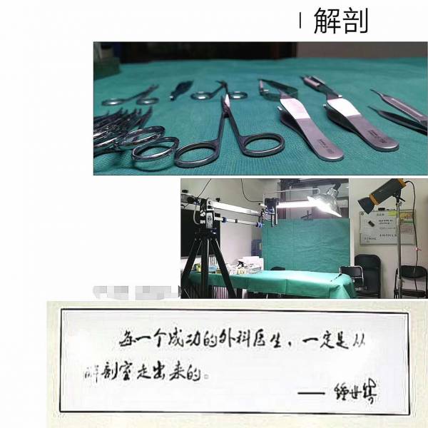微信图片_20170821010238.jpg