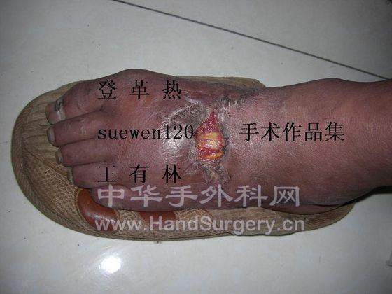 CIMG2843.JPG