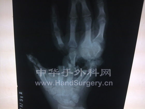 照片 455.jpg
