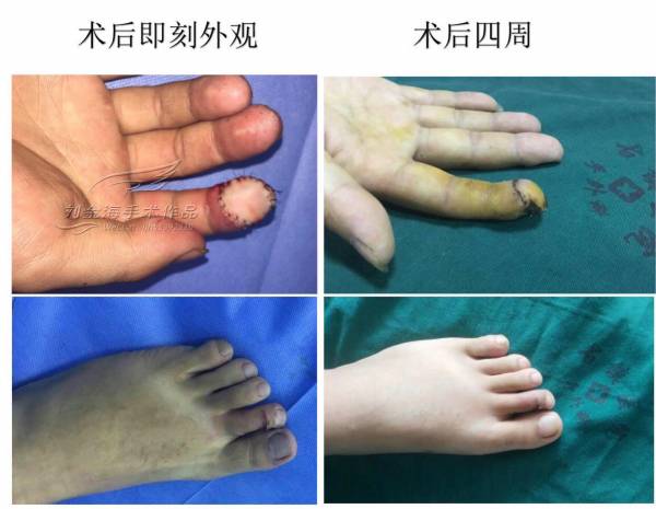 微信图片_20180423201707.jpg