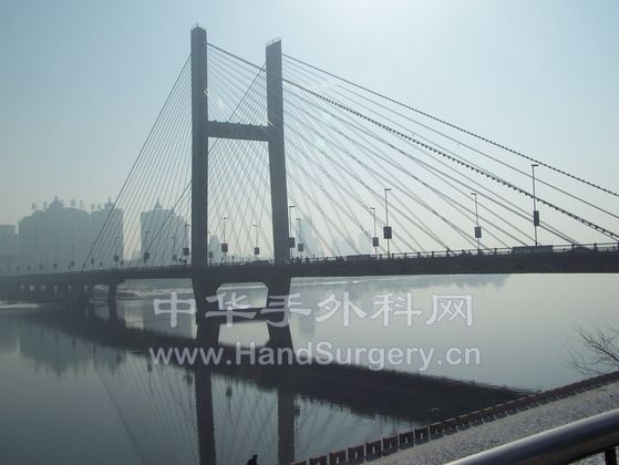 100_2575.JPG