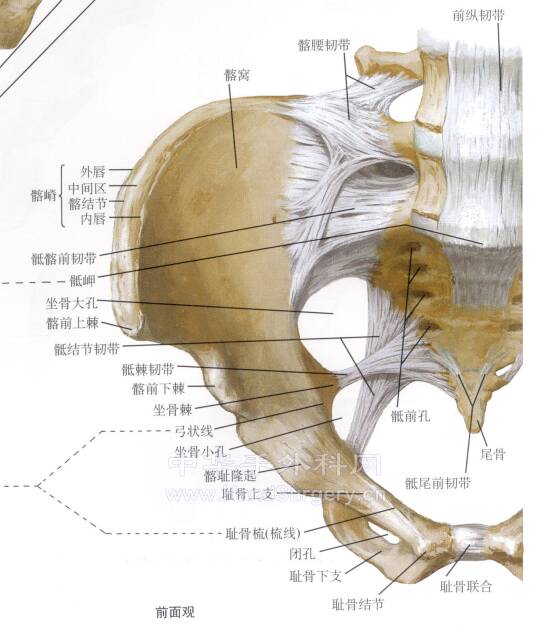 QQ截图20220224010413.png