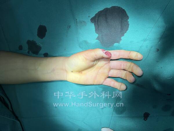 0764EA59-9FB8-419B-BEBA-02316A650803.jpeg