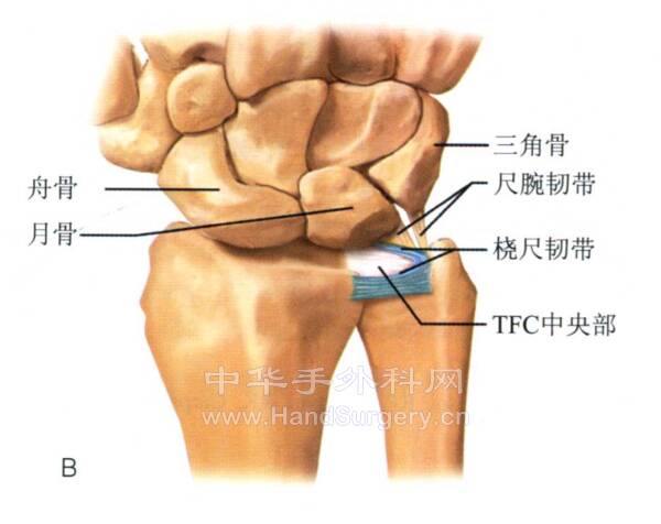 微信截图_20220420220059.png