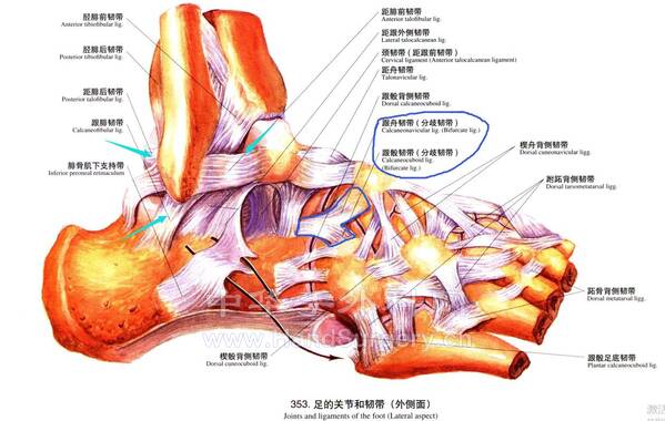 QQ截图20220428215907.jpg