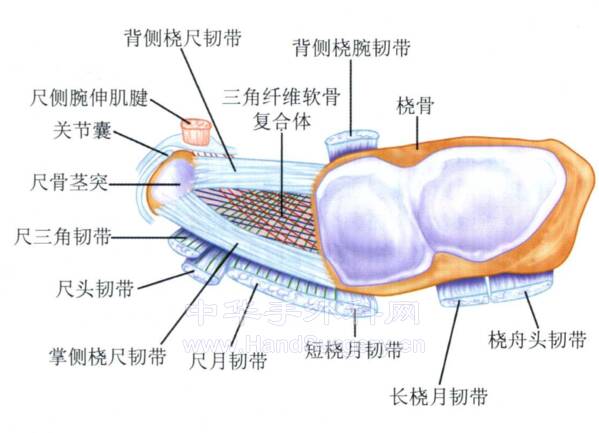 微信截图_20220519233941.png