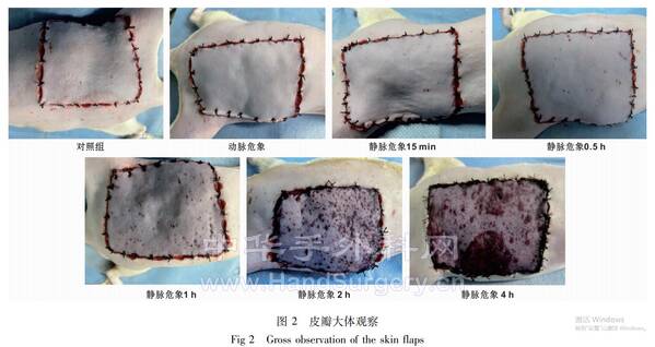 QQ截图20220527120114.jpg