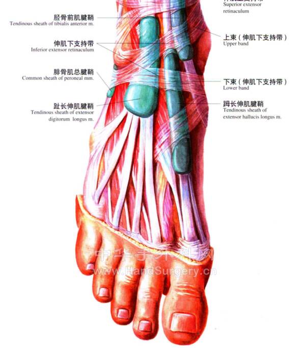 微信图片_20220623220654.png