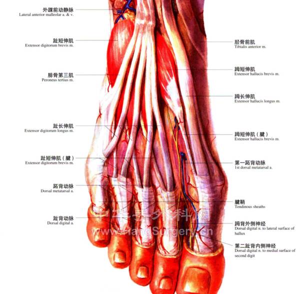 微信图片_20220623220902.png