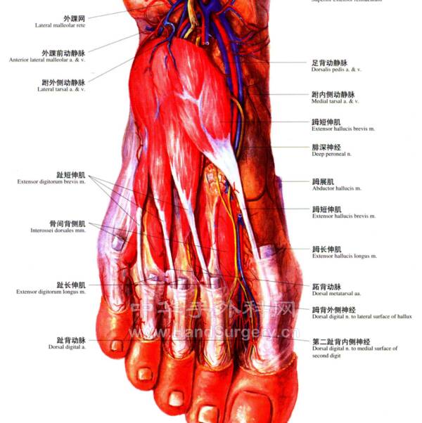 微信图片_20220623220905.png
