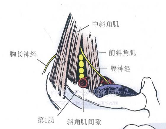 截图20220629233714.png