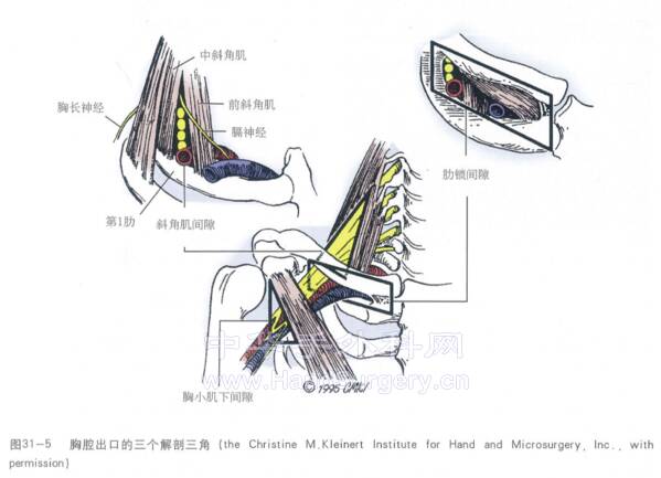 截图20220629233833.png
