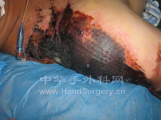 照片 625.jpg