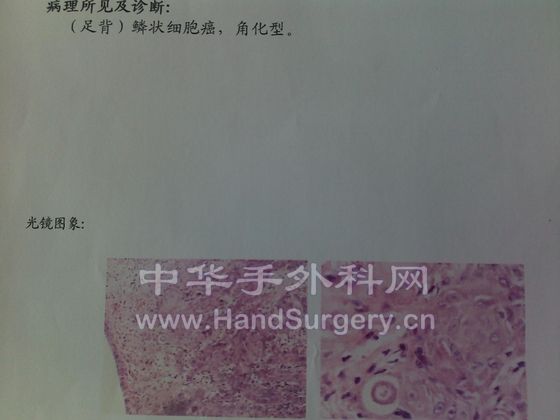 20090808188.jpg