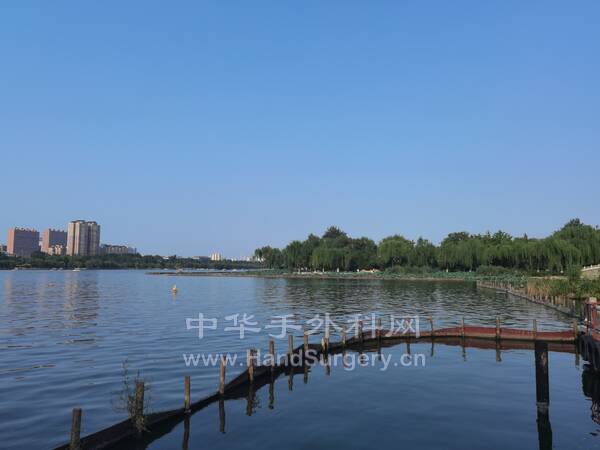 IMG_20220817_164306.jpg