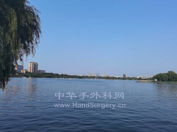 IMG_20220817_165316.jpg