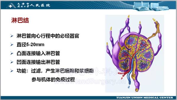 微信图片_20220820223727.png