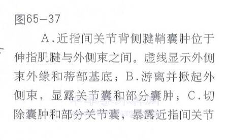 QQ截图20221114235558.png