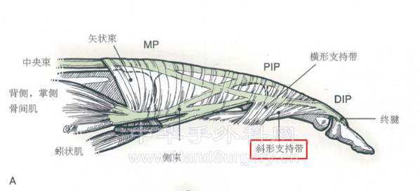 微信截图_20230204134301.png