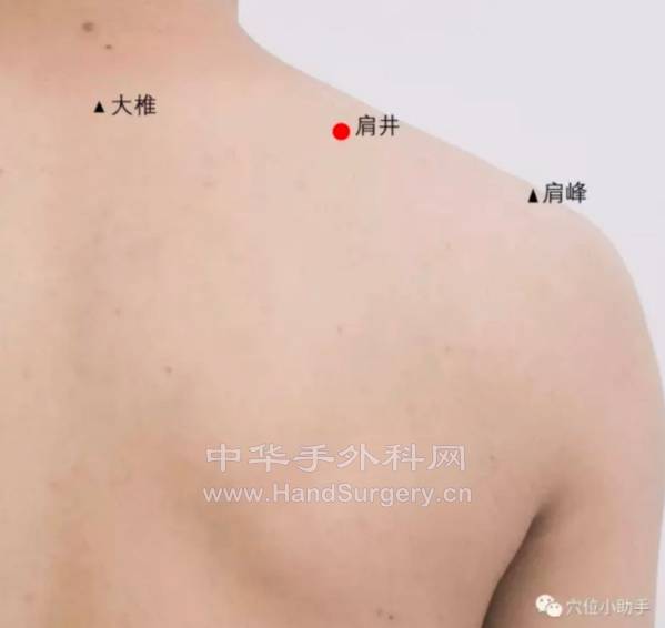微信截图_20230220231547.png